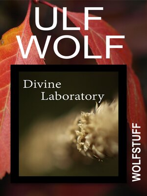 cover image of Divine Laboratory